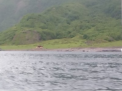 20240623_164605.jpg 20240623_164605.jpg