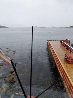 20240623_171429.jpg 20240623_171429.jpg