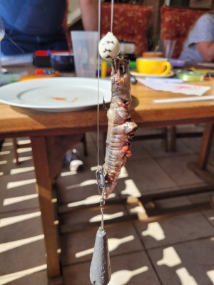 20240623_170148.jpg