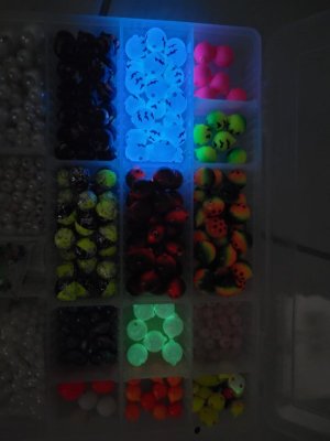 20240619_183443.jpg