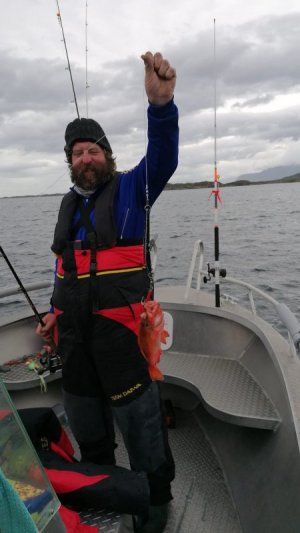 IMG-20240624-WA0005.jpg IMG-20240624-WA0005.jpg