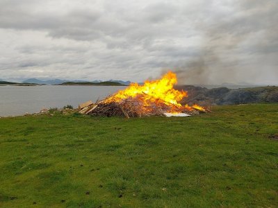 20240623_201610.jpg 20240623_201610.jpg