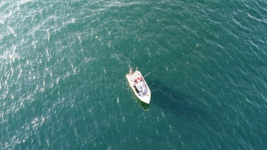 IMG-20240623-WA0009.jpg IMG-20240623-WA0009.jpg