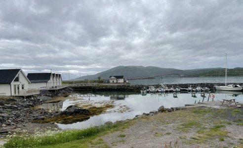 IMG_8372.jpeg IMG_8372.jpeg