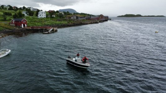 IMG-20240625-WA0000.jpg IMG-20240625-WA0000.jpg