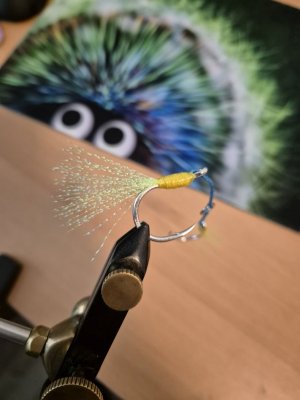 20240624_145206.jpg 20240624_145206.jpg