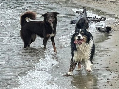 a2cb38f3-a09c-42bc-8358-fa9c11241148.jpeg a2cb38f3-a09c-42bc-8358-fa9c11241148.jpeg