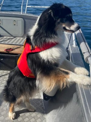 efb6c493-065b-4c03-8ebd-4bbd8b011a66.jpeg efb6c493-065b-4c03-8ebd-4bbd8b011a66.jpeg