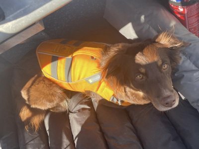 a83d5c2c-66e7-41f0-b976-f40bf6fe67a9.jpeg a83d5c2c-66e7-41f0-b976-f40bf6fe67a9.jpeg