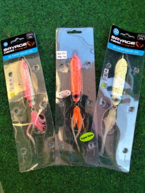 IMG_20240627_200905.jpg IMG_20240627_200905.jpg