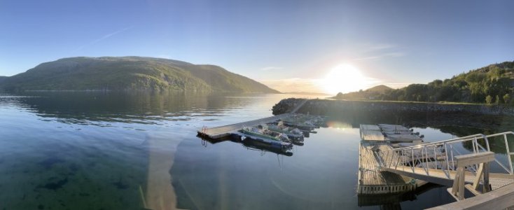 IMG_2488.jpeg
