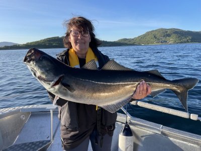 IMG_8386.jpeg IMG_8386.jpeg