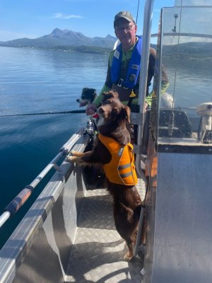 13847426-b56e-4bb5-92ab-df63919bef01.jpeg 13847426-b56e-4bb5-92ab-df63919bef01.jpeg