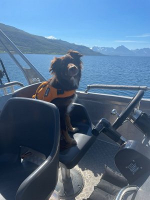 48107cac-3b02-4cf2-8379-c789730b993e.jpeg 48107cac-3b02-4cf2-8379-c789730b993e.jpeg