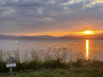 IMG_8392.jpeg IMG_8392.jpeg