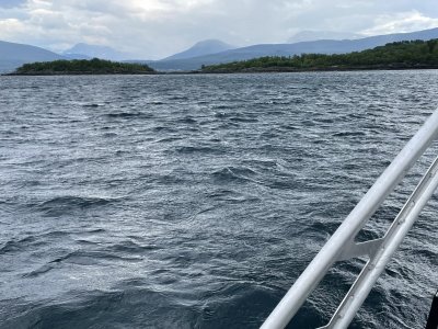 IMG_8394.jpeg IMG_8394.jpeg