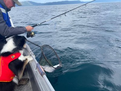 f02161ee-2c2e-4aa0-98f3-1bac671f1e42.jpeg f02161ee-2c2e-4aa0-98f3-1bac671f1e42.jpeg