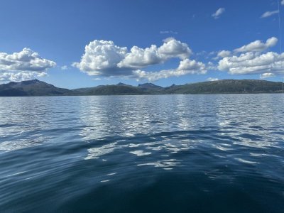 IMG_8406.jpeg IMG_8406.jpeg