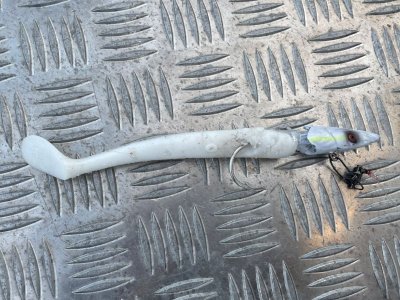 ba053d07-268e-4f96-9c64-d7b7427f9f35.jpeg ba053d07-268e-4f96-9c64-d7b7427f9f35.jpeg