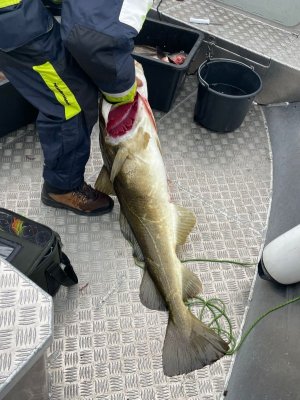 c284a12c-4408-4625-a37b-be68f5c2cbb6.jpeg c284a12c-4408-4625-a37b-be68f5c2cbb6.jpeg