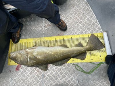 33efe168-08b8-4254-993d-601ecd9c0b54.jpeg 33efe168-08b8-4254-993d-601ecd9c0b54.jpeg