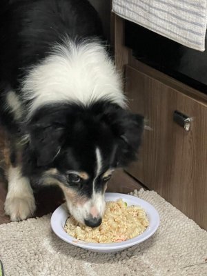 4aecfc4a-0cc4-4c06-968d-9cec38c16ec9.jpeg 4aecfc4a-0cc4-4c06-968d-9cec38c16ec9.jpeg