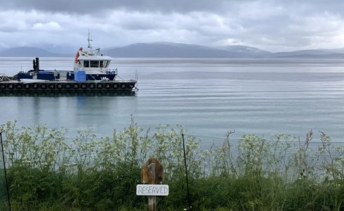 IMG_8424.jpeg IMG_8424.jpeg