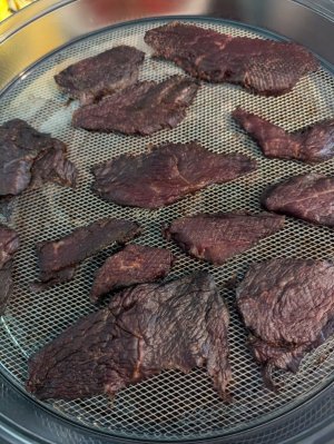 PXL_20240705_082750875.jpg PXL_20240705_082750875.jpg