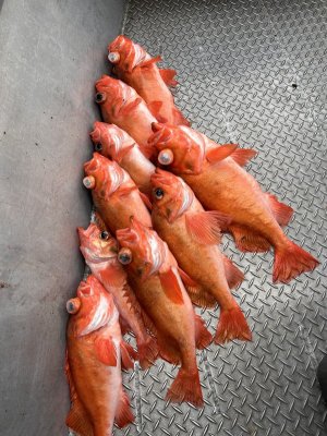 IMG_1810.jpeg