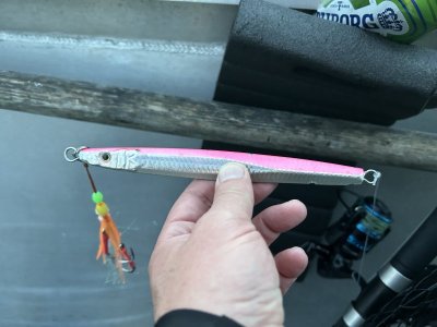 IMG_7794.jpeg IMG_7794.jpeg