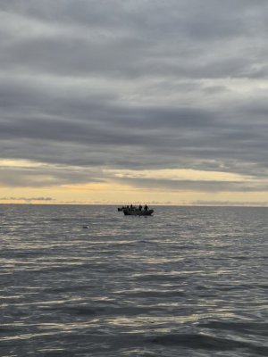 20240709_200227.jpg 20240709_200227.jpg