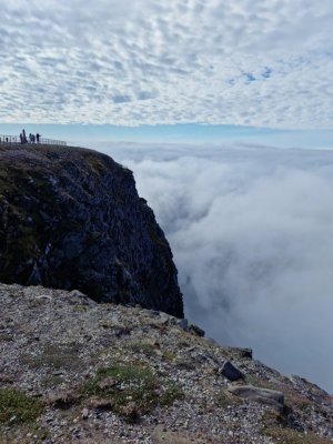 20240615_145058.jpg 20240615_145058.jpg