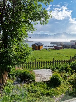 20240616_171450.jpg 20240616_171450.jpg