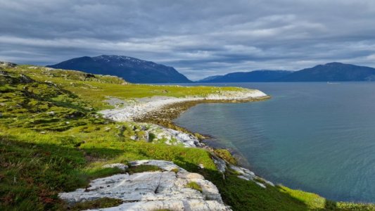 20240621_185003.jpg 20240621_185003.jpg