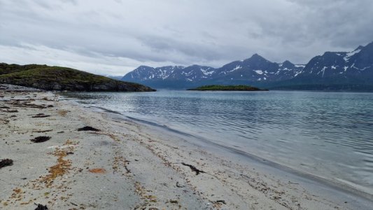 20240625_170135.jpg 20240625_170135.jpg