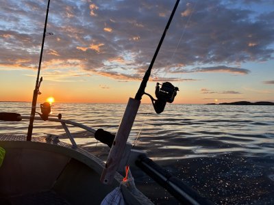 IMG_7614.jpeg IMG_7614.jpeg