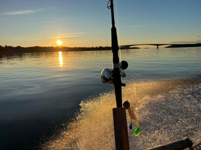 b1d8b30d-de24-474a-9d9e-6fc6ef0dd5b4.jpeg b1d8b30d-de24-474a-9d9e-6fc6ef0dd5b4.jpeg