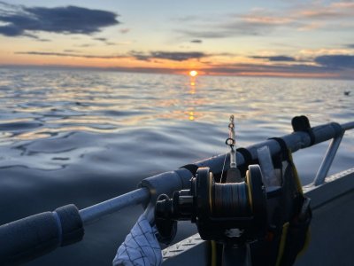 IMG_7749.jpeg IMG_7749.jpeg