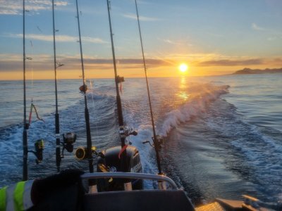 20240705_011349.jpg 20240705_011349.jpg