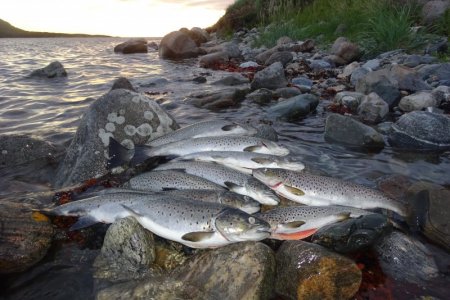 DSC02466.JPG DSC02466.JPG