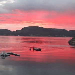 20240608_235808.jpg 20240608_235808.jpg