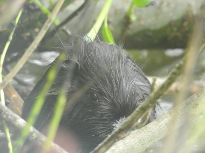 DSCN1866.JPG