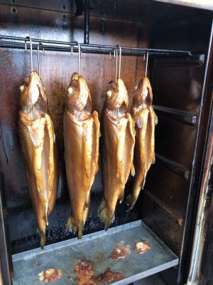 IMG_3482.jpeg