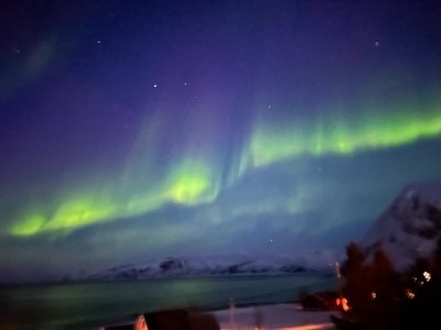 IMG-20240404-WA0094.jpg IMG-20240404-WA0094.jpg