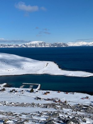 IMG-20240403-WA0062.jpg IMG-20240403-WA0062.jpg