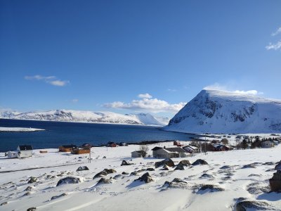 IMG_20240403_141624.jpg IMG_20240403_141624.jpg