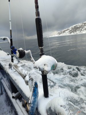 IMG_20240402_090357.jpg IMG_20240402_090357.jpg