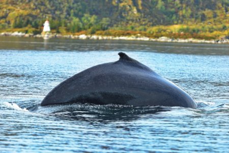 DSC_7837.JPG DSC_7837.JPG