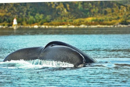 DSC_7844.JPG DSC_7844.JPG