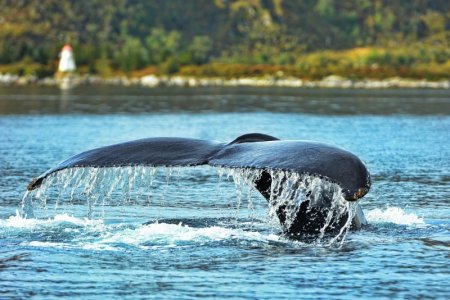 DSC_7846.JPG DSC_7846.JPG